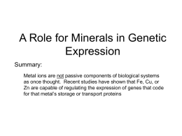 Lecture 15 Genetic Regulation