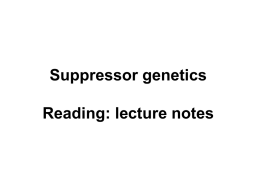 Suppressor genetics