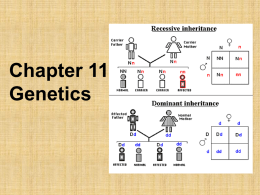 Chapter 11: Genetics