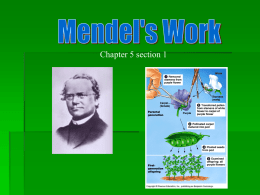Mendel`s Work PPT.