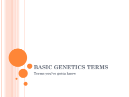 Genetics Terms You`ve Gotta Know