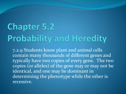 5.2 Probability and Heredity