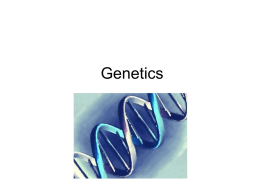 Genetics - TeacherWeb