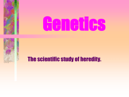 Genetics - Notes #1