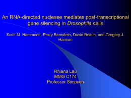 An RNA-directed nuclease mediates post