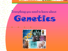 Everything you need to know about Genetics
