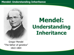 Mendel: Understanding Inheritance