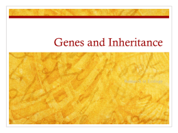 Genes and Inheritance