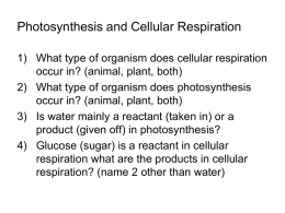 Photosynthesis Cellular Respiration Glucose