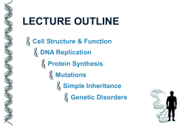 LECTURE OUTLINE Cell Structure & Function DNA Replication