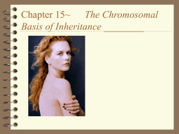 Chapter 15~ The Chromosomal Basis of Inheritance ______