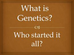 The Father of Genetics