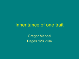 Inheritance of one trait