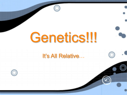 Genetics - MWMS HW Wiki