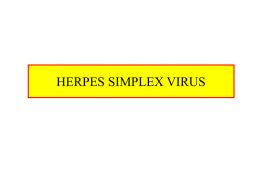Herpes Simplex Virus Lec. 7
