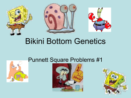 Bikini Bottom Genetics