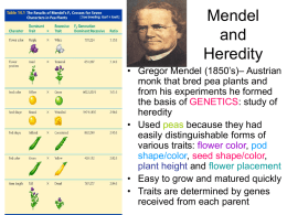 Mendel and Heredity ppt