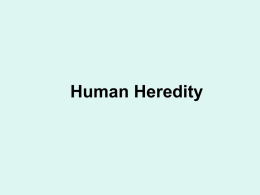 Human Heredity Ch. 14