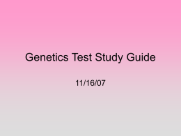 Genetics Test Study Guide