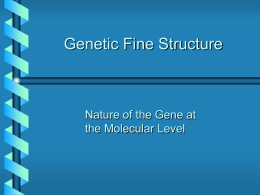 Genetic Fine Structure