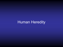 Human Heredity - Fort Bend ISD