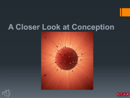 A Closer Look at Conception presentation