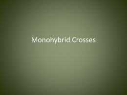 Monohybrid Crosses