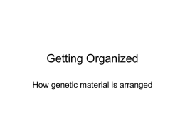 PowerPoint - Mr. Ulrich`s Land of Biology