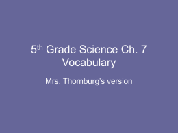 5th Grade Science Ch. 7 Vocabulary
