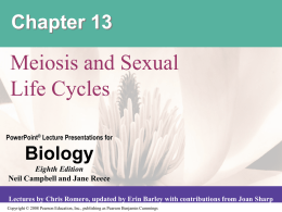 Chapter. 13(Meiosis & Sexual Life Cycles)
