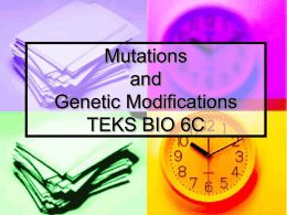 Mutations, Karyotyping, Pedigrees