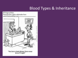 Understanding Blood Type & Blood Disorders