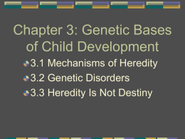 Overview of Chapter 11