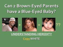 Can 2 Brown-Eyed Parents have a Blue