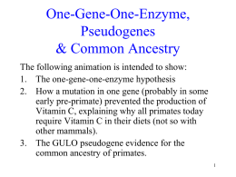 One-Gene-One-Enzyme, Pseudogenes... ppt