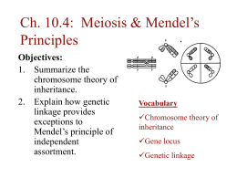 Ch. 10.4: Meiosis & Mendel`s Principles