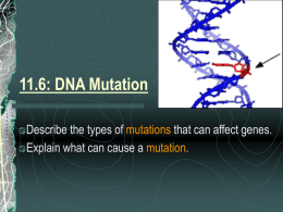 What Causes Mutations?