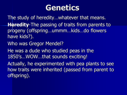 Genetics pt 1 1314