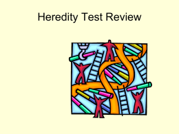 Heredity Test Review