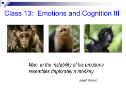 class 13 emotions and cogniton III