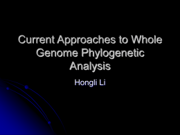 Current Approaches to Whole Genome Phylogenetic Analysis