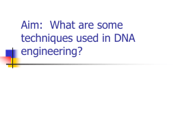 Aim: What are some techniques used in DNA engineering?