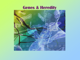 Genes & Heredity