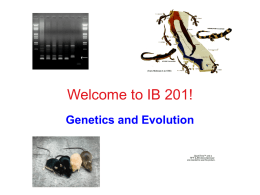 Welcome to the Genetics portion of IB 201!