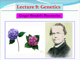 Lecture 9: Genetics