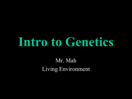 4.1 Intro to Genetics