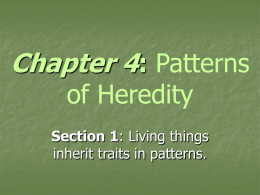 Chapter 4: Patterns of Heredity