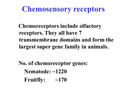 Determinants of Gene Duplicability