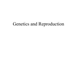 Genetics and Reproduction - Effingham County Schools