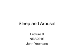 Sleep and Arousal